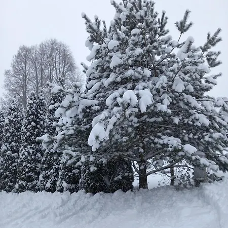 Dom Przy Zagrodzie Nowy Targ