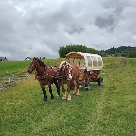 Nyaraló Dom Przy Zagrodzie Nowy Targ